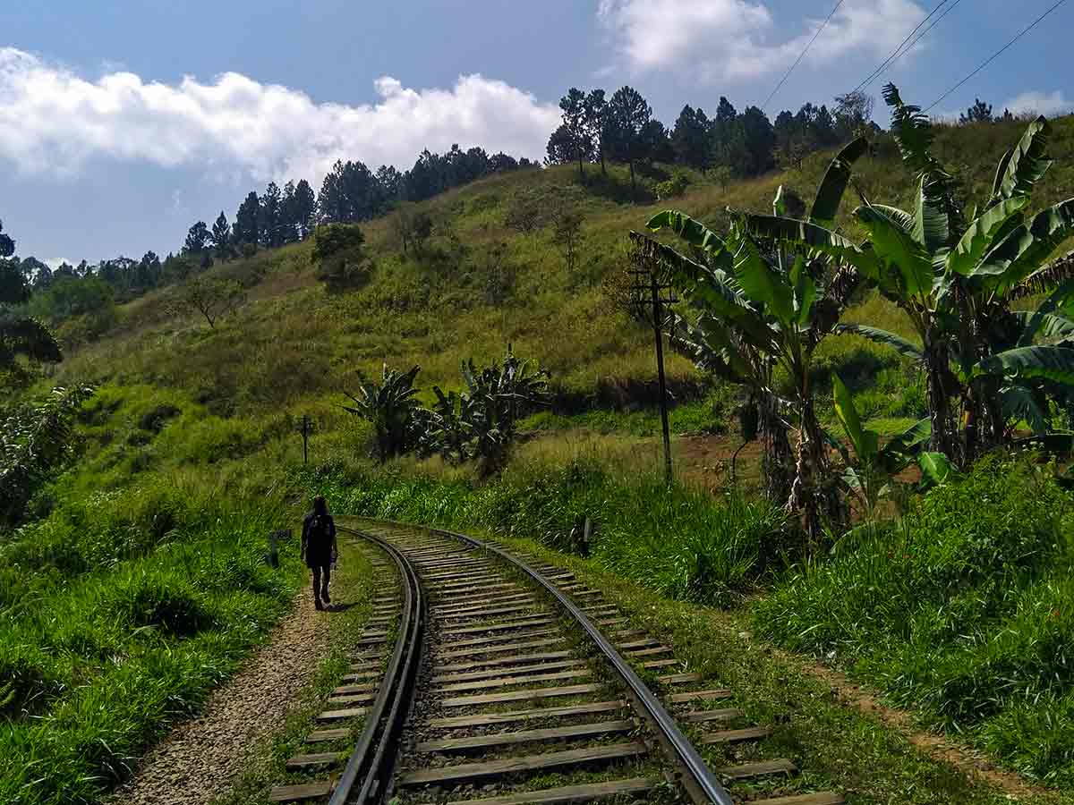 Railway track leading to Ella Rock trailhead