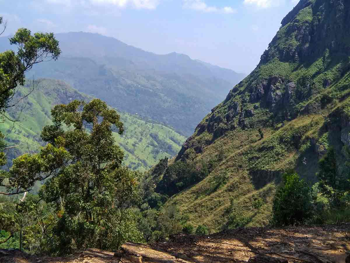 Tea plantation trail on Ella Rock hike