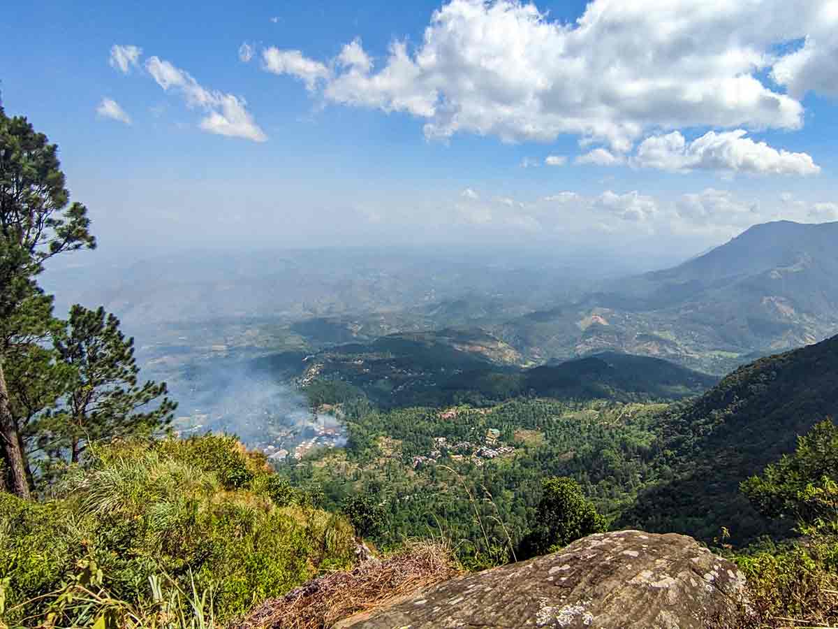 Tea estate views from Idalgashinna ridge