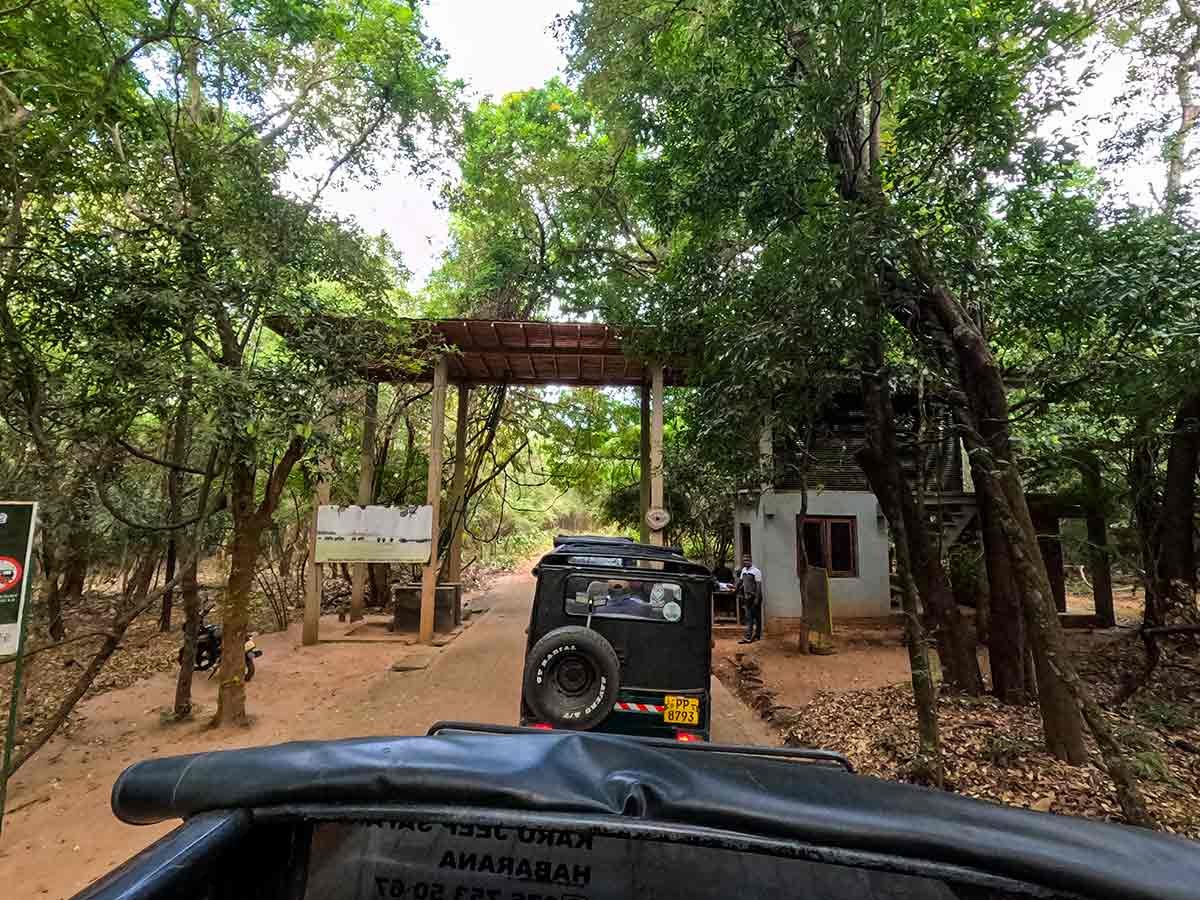 Minneriya national park