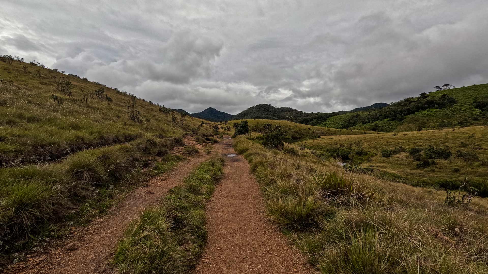 Horton Plains Trail crossing an open highland plateau at 2100 metres above sea level in Sri Lanka