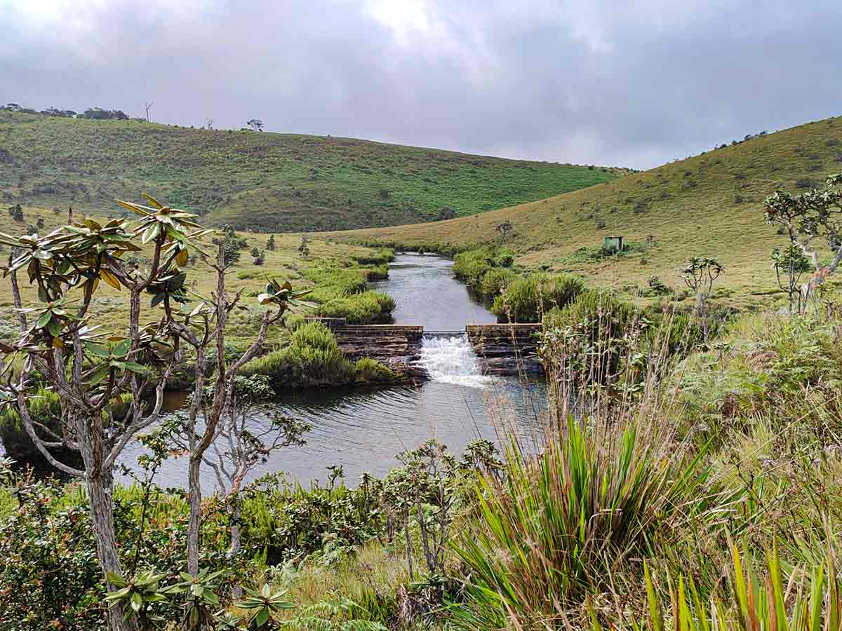Horton Plains Trail showing montane cloud forest and patana grassland