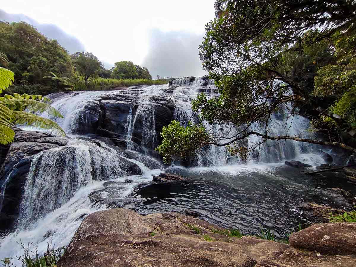 Horton Plains Trail showing montane cloud forest and patana grassland