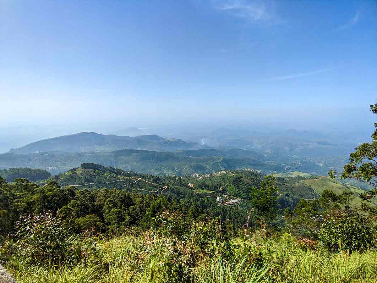 Tea plantations surrounding Lipton's Seat